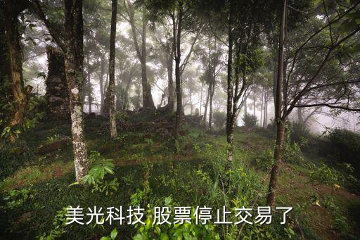 美光科技 股票停止交易了