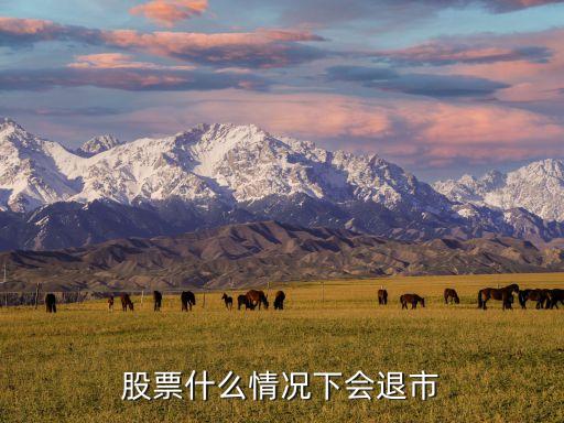 股票什么情况下会退市