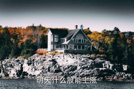 明天什么股能上涨