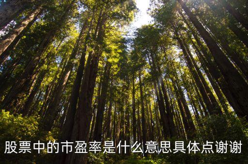 股票中的市盈率是什么意思具体点谢谢