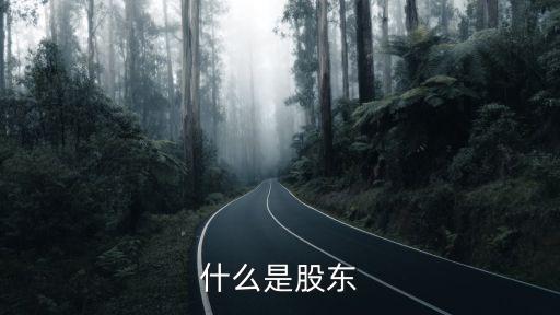 什么是股东