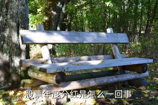 股票年度分红是怎么一回事