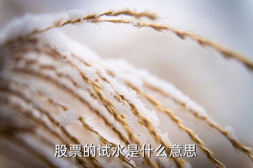 股票的试水是什么意思