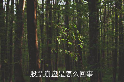 股票崩盘是怎么回事