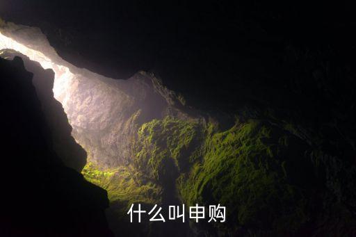 什么叫申购