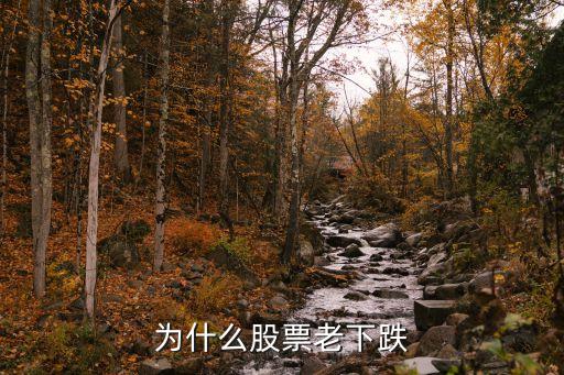 股票为什么老是下午跌呢，股票为什么老是下跌