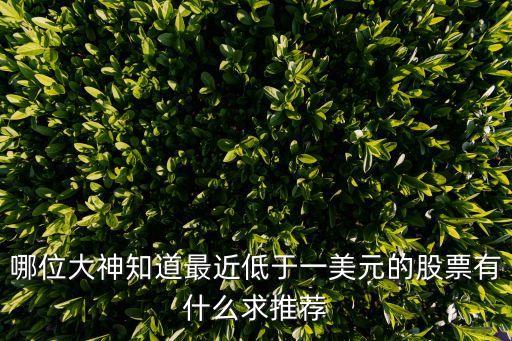 哪位大神知道最近低于一美元的股票有什么求推荐