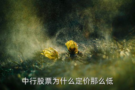 中国银行股票为什么价格低，国外银行股价那么高凭什么中国银行股这么低价格