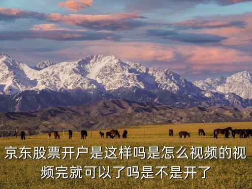 股票里的视频是什么意思，什么是视频股