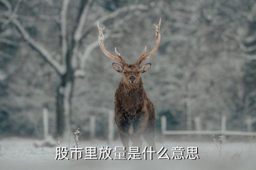 股票当中的放量是什么意思，股票放量是什么意思