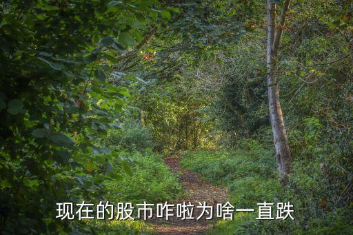 现在的股市咋啦为啥一直跌