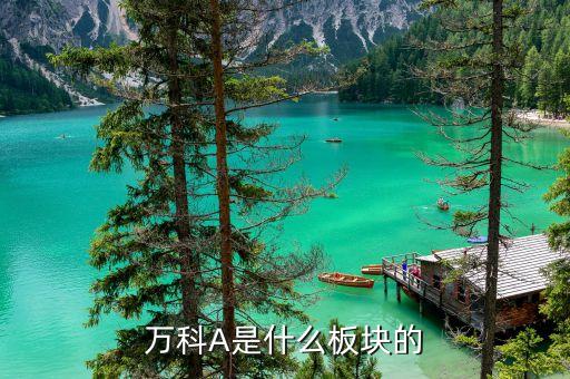 万科a股票是什么概念板块，万科A是什么板块的