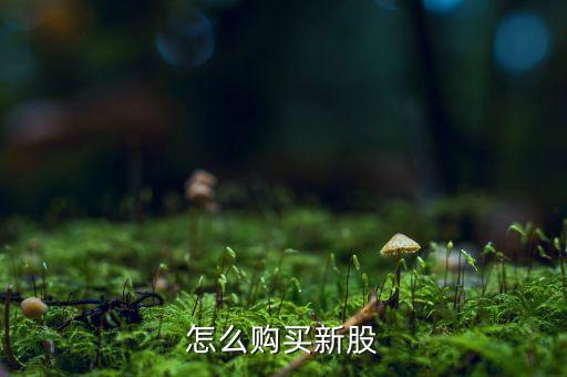 怎么购买新股