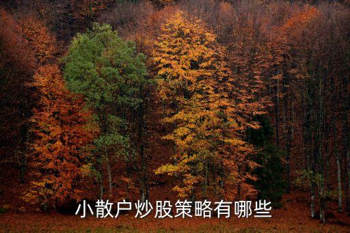 小散户炒股策略有哪些