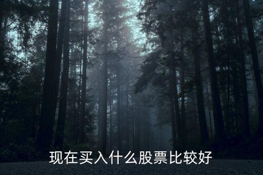 现在买入什么股票比较好