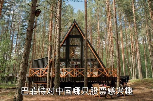 巴菲特买中国股票是什么股，巴菲特对中国哪只股票感兴趣