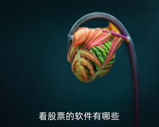 查自己股票用什么软件看，查看股票哪种软件相对较好