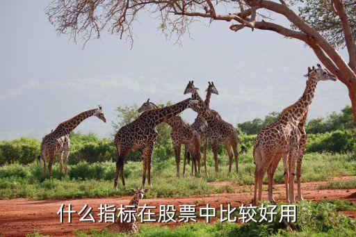 什么指标在股票中比较好用