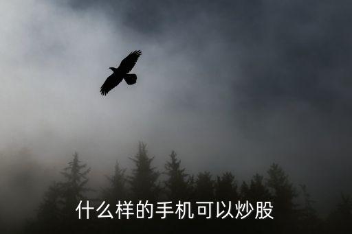 什么样的手机可以炒股