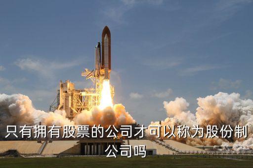 专门持有股票的公司叫什么，专门做股票的公司叫什么
