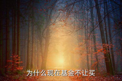 散户为什么不能买股票基金，为什么我的证券账户不能买基金