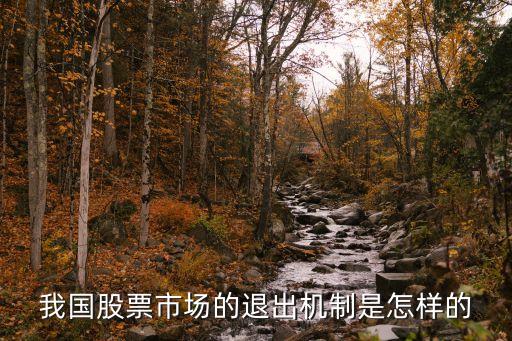 我国股票市场的退出机制是怎样的