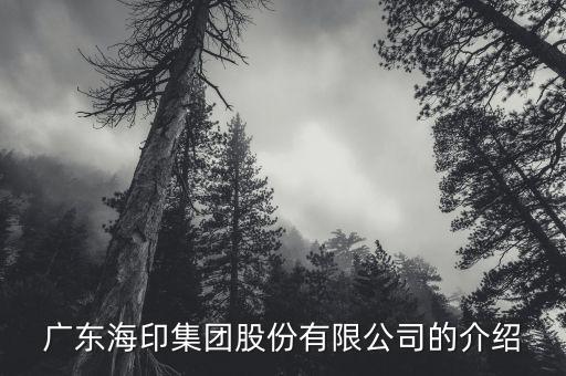 广东海印集团股份有限公司的介绍