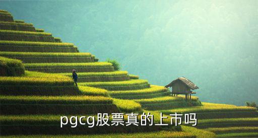 美锦转债是什么股票，pgcg股票真的上市吗