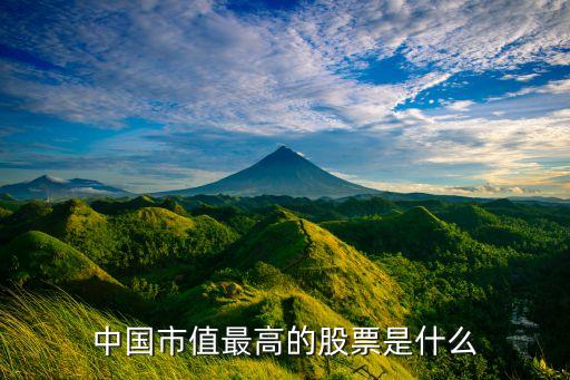号称股市最大的股票是什么，规模最大的股票是什么股票最优秀的股票是什么股票