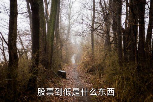 股票的拉低是什么意思，股票到低是什么东西