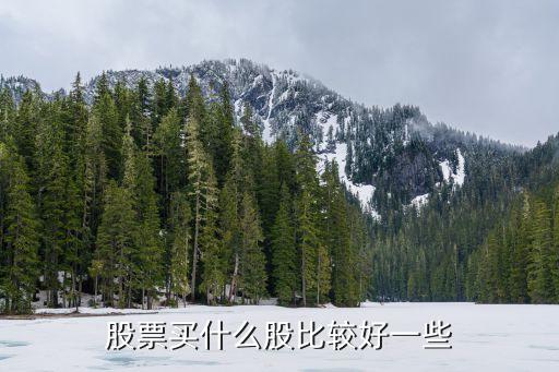 股票买什么股比较好一些
