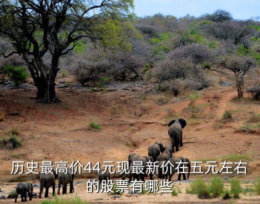 最值钱的5元股票是什么，求大虾们推荐几个价格在五块至十块的潜力股票