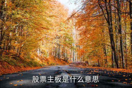 股票的硬板是什么意思啊，股票主板是什么意思