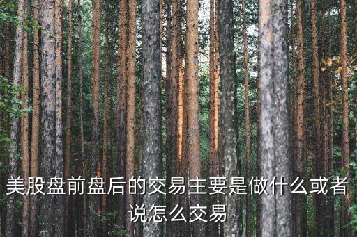 美利云股票做什么业务，操盘手是做什么的