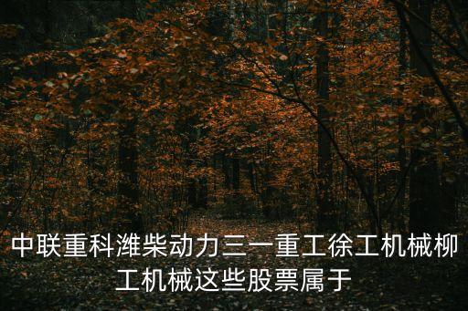 中联重科潍柴动力三一重工徐工机械柳工机械这些股票属于