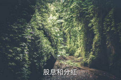 股息和分红