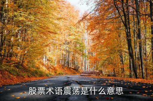 股票术语震荡是什么意思