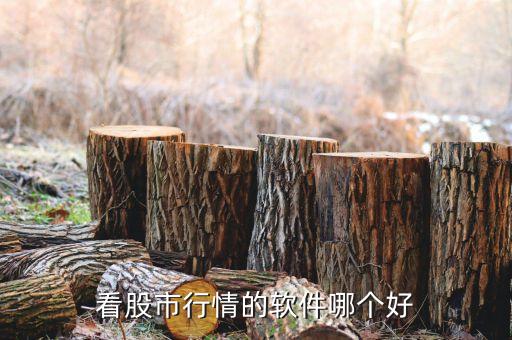 看股市行情的软件哪个好