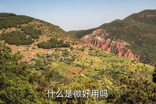 什么是微好用吗