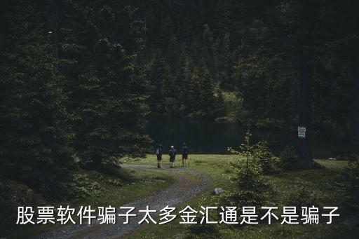 股票软件骗子太多金汇通是不是骗子