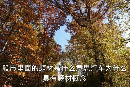 股票相关主题是什么意思，炒股中炒主题是什么意思