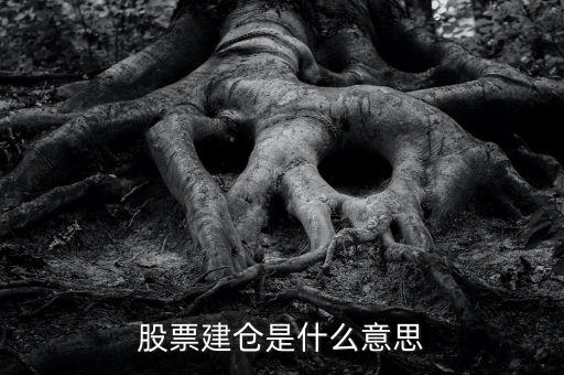 股票大建子是什么意思，股票建仓是什么意思