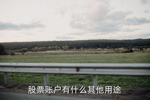 股票账户有什么其他用途