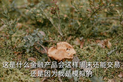 这是什么金融产品会这样周末还能交易还是因为我是模拟的