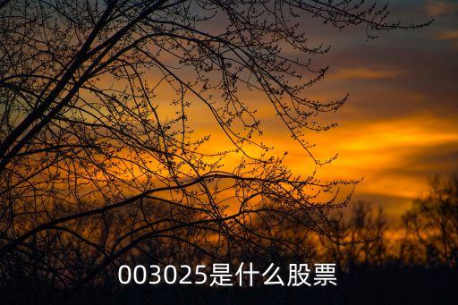 003025是什么股票