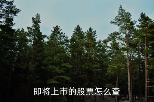 即将上市的股票怎么查
