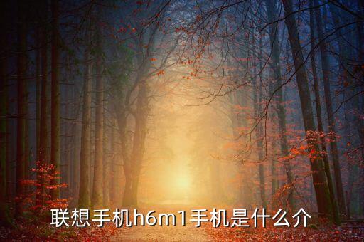 联想手机h6m1手机是什么介