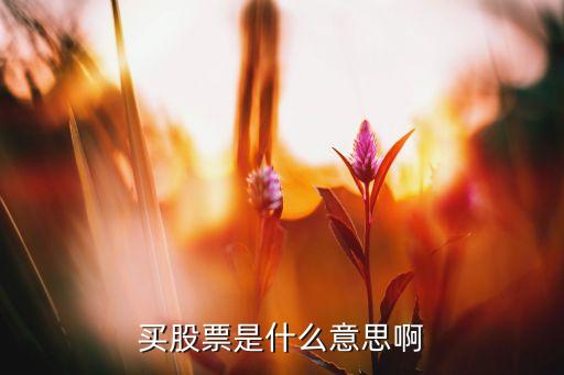 买股票是什么意思啊