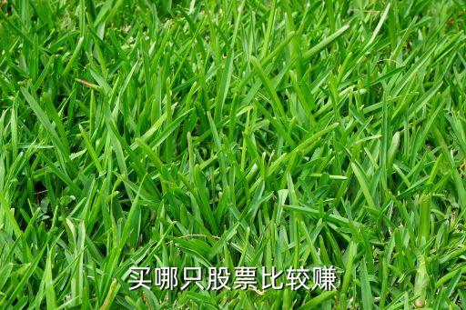 股民炒什么股票最多赚钱，买什么股票能稳挣钱