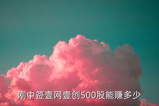 一网壹创是什么股票，壹网壹创这只新股怎么样